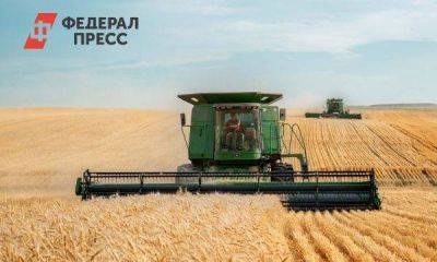 Россия разрабатывает альтернативу зерновой сделке