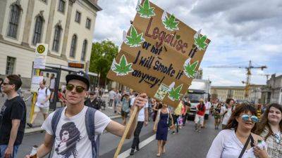 Германия сделала еще один шаг к легализации каннабиса