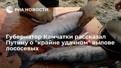 Солодов: на Камчатке выловили в четыре раза больше лососевых, чем в 2022 году