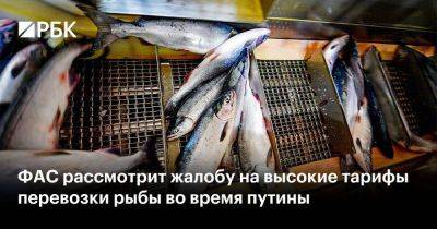 Илья Шестаков - ФАС рассмотрит жалобу на высокие тарифы перевозки рыбы во время путины - smartmoney.one - Россия