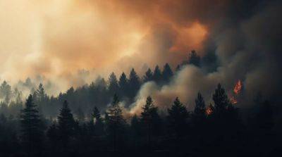 Из-за лесных пожаров на Гавайях более тысячи человек пропали без вести