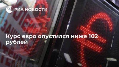 Курс евро на Московской бирже опустился ниже 102 рублей впервые с 2 августа