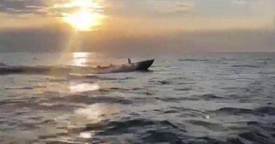 "Будет захватывающе": СБУ опубликовала кадры с надводного дрона, атаковавшего Крымский мост (видео)