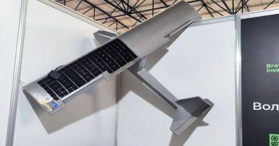 Украинцы разработали крылья с солнечными батареями: дроны смогут летать еще дольше (фото)