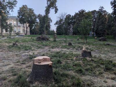 В Киеве в парке КПИ вырубывают деревья - фото и объяснение заведения