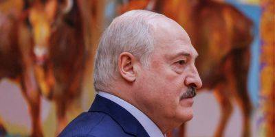 Лукашенко признал, что часть оккупантов вторглась в Украину из Беларуси