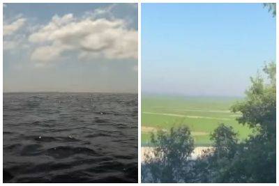 "Не верю своим глазам": во что превращается Каховское водохранилище после подрыва ГЭС
