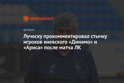 Луческу прокомментировал стычку игроков киевского «Динамо» и «Ариса» после матча ЛК