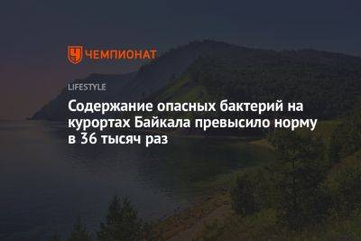 Содержание опасных бактерий на курортах Байкала превысило норму в 36 тысяч раз