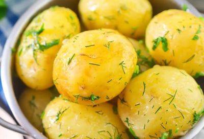 Не допускайте этих ошибок: как правильно хранить и варить молодую картошку