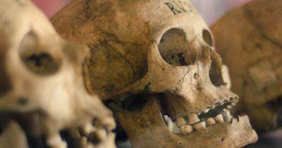 Древние люди в Японии не случайно деформировали свои черепа: археологи выяснили зачем (фото)