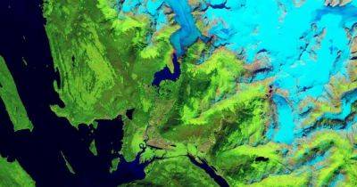 Медленная смерть гиганта. В NASA показали 40 лет угасания ледника Менденхолл на Аляске (фото)