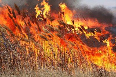 Пожарная опасность в Украине – как уберечь себя и близких – советы ГСЧС
