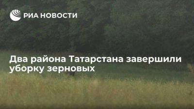 Два района Татарстана завершили уборку зерновых