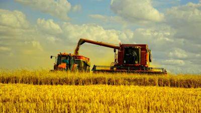 Одесская область в лидерах по сбору ранних зерновых в Украине: завершается уборочная кампания