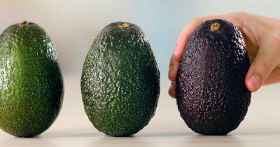Как выбрать авокадо, чтобы не разочароваться. Три секрета популярного суперфуда