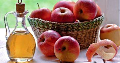 Яблочный Cпас 2023: что поставить на праздничный стол 19 августа