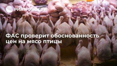 ФАС проверит обоснованность оптово-отпускных цен на мясо птицы
