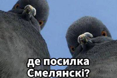 Глава «Укрпошты» матом объяснил клиенту, что компания не отслеживает «дешевые» отправления - itc.ua - Украина - Twitter