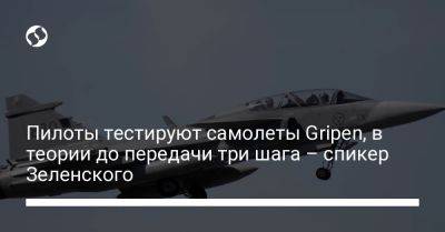 Сергей Никифоров - Пилоты тестируют самолеты Gripen, в теории до передачи три шага – спикер Зеленского - liga.net - Украина