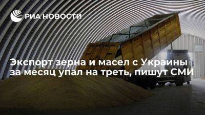 Bloomberg: экспорт с Украины после прекращения зерновой сделки упал на треть
