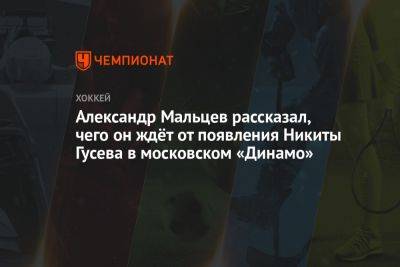 Александр Мальцев рассказал, чего он ждёт от появления Никиты Гусева в московском «Динамо»