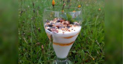 Невероятно вкусный медово-йогуртовый десерт с орешками: приготовит даже ребенок