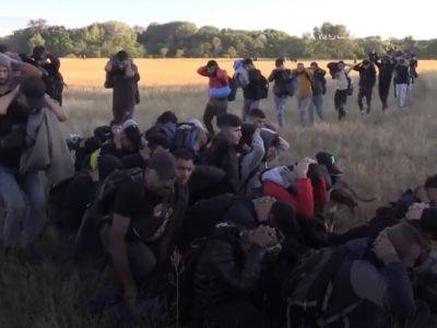 Сербская полиция задержала 200 нелегальных мигрантов у границы с Венгрией