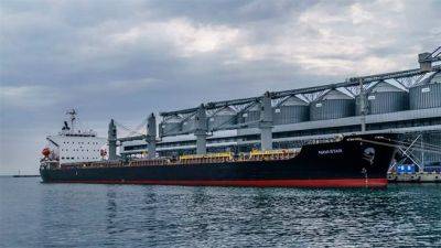 Три судна под охраной НАТО отправились в Украину для загрузки пшеницы, в нарушение российского эмбарго