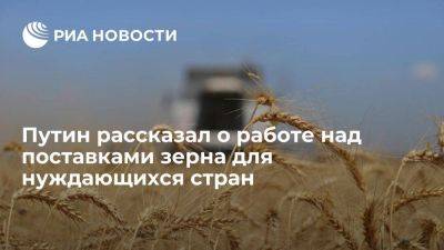 Путин рассказал Эрдогану о проработке вариантов поставок зерна для нуждающихся стран