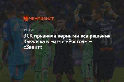 ЭСК признала верными все решения Кукуляка в матче «Ростов» — «Зенит»