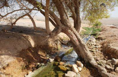 В Иорданской долине найден мертвым отец семейства, заблудившегося во время похода