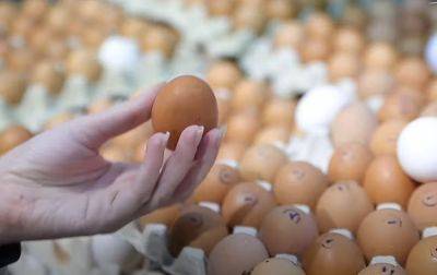 Украинцев уже предупредили: опять цены на яйца круто изменятся