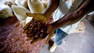 Горький шоколад: чем обернется резкий взлет цен на какао-бобы - smartmoney.one - Россия - Гана - Кот Дивуар