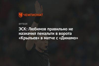 ЭСК: Любимов правильно не назначил пенальти в ворота «Крыльев» в матче с «Динамо»