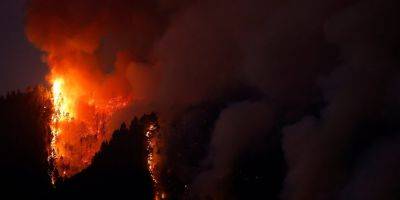 Канарские острова в огне. Из-за лесных пожаров с Тенерифе эвакуировали 26 тыс. человек, огонь вышел из-под контроля — фото