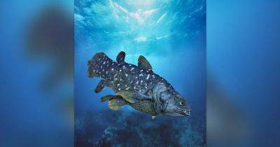 Видели динозавров. Океан рассекает рыба, способная жить 100 лет и питаться стоя на голове (фото)