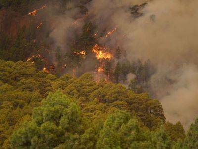 Лесной пожар на Тенерифе в Испании вышел из-под контроля