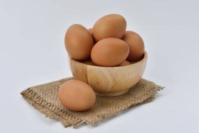 Скандал с закупками яиц - поселковый совет на Волыни хочет покупать яйца по завышенным ценам