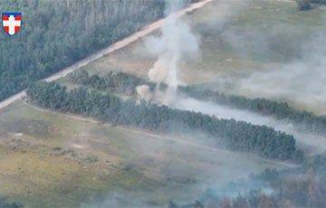 Воины ВСУ уничтожили российский самоходный миномет 2С4 «Тюльпан