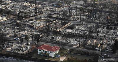 Владельцы дома на Гавайях рассказали, как их жилье осталось невредимым в эпицентре пожара