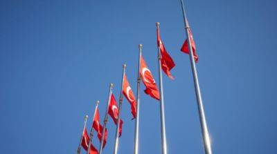 В Стамбуле могут пройти переговоры по возобновлению зернового соглашения – СМИ