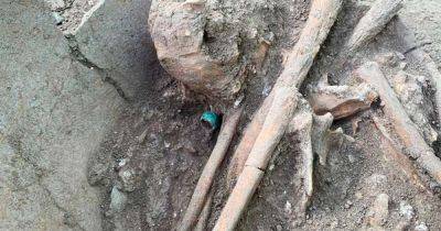В Мексике нашли захоронение человека с нефритовым перстнем в кувшине - фото