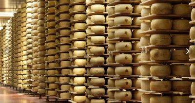 Датские ученые создали закваску, ускоряющую созревание сыра в два раза