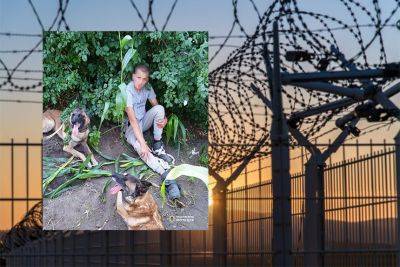 На Вінниччині знайшли втікача з колонії: на слід вивели службові собаки