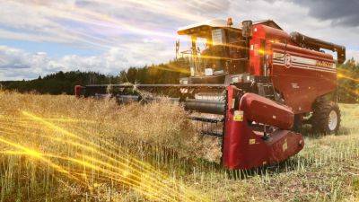 Зерновые и зернобобовые в Беларуси убраны на 88% площадей