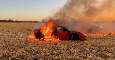 Суперкар Ferrari за $400 000 сгорел дотла во время езды по кукурузному полю (видео)