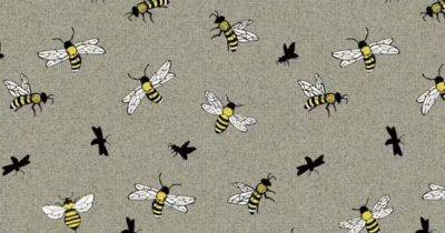 У вас 10 секунд: только люди с самым острым зрением могут найти пчелу с жалом (фото)