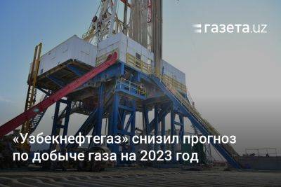 Журабек Мирзамахмудов - «Узбекнефтегаз» снизил прогноз по добыче газа на 2023 год - gazeta.uz - Узбекистан