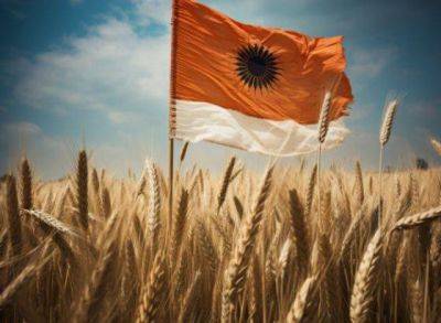 Индия хочет купить много зерна, но со скидкой